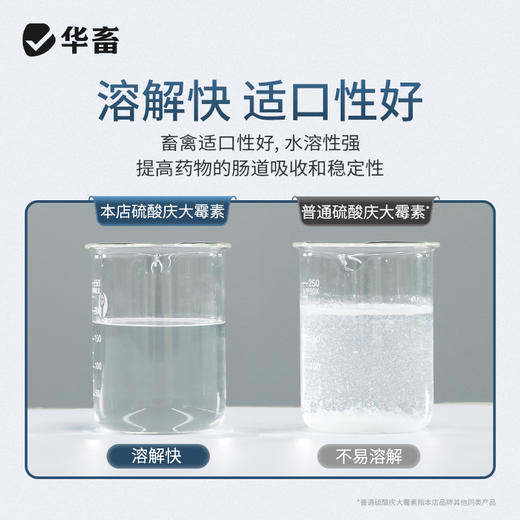 华畜5%硫酸庆大霉素可溶性粉 治疗肠炎拉稀 抗菌消炎 商品图2