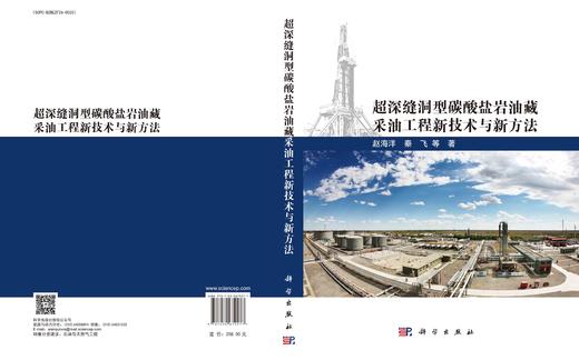 超深缝洞型碳酸盐岩油藏采油工程新技术与新方法 商品图3