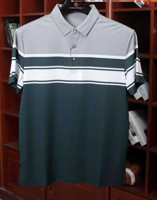 占姆士短袖POLO衫男士夏季新款翻领T恤休闲青年上衣条纹 商品图5