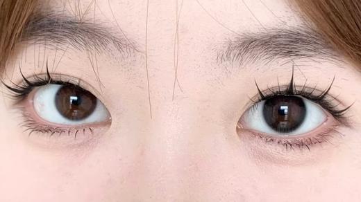 Bariecat日抛·夜光黑环·14.0mm中等着色·10片日抛 商品图3