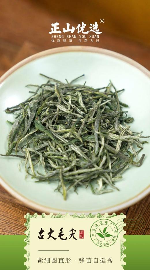 正山优选·古丈毛尖50g【臻选好茶】 商品图4