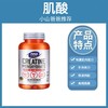 肌酸｜ 750mg/粒 补充体力 恢复肌肉能力 120粒 每次6粒 NOW诺奥肌酸单水合物胶囊 商品缩略图0