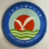 通版佛山市三水区大塘中心小学包边校徽标姓名贴章可缝烫现货发51 商品缩略图0