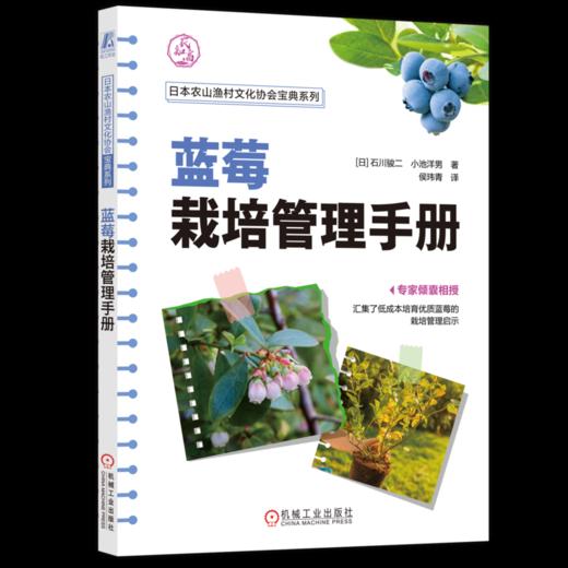 官网 蓝莓栽培管理手册 石川骏二 蓝莓育苗技术栽培管理选种技巧 蓝莓种植教程书籍 商品图4