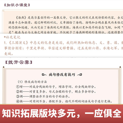 高效备考 初中必背文学常识 商品图1