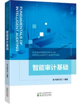 智能审计基础