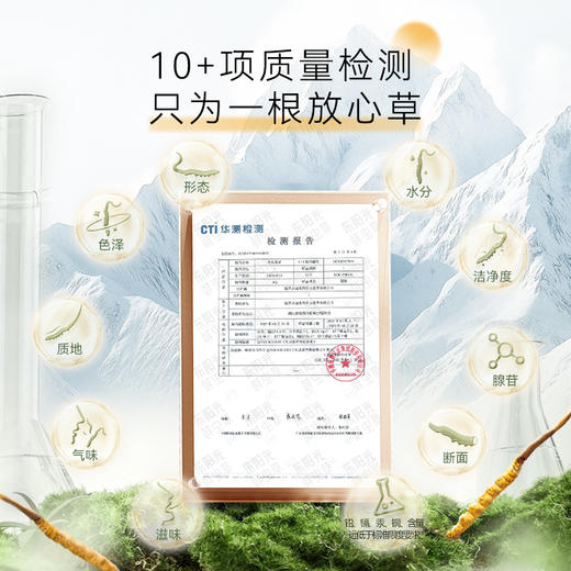 东阳光冬虫夏草 有机冻干虫草60根装 约19克 商品图7