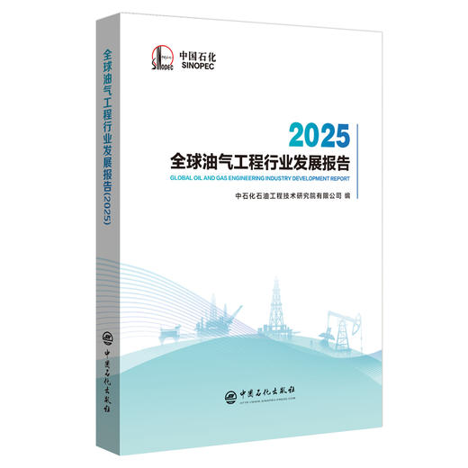 （官方旗舰店）全球油气工程行业发展报告. 2025 填补了国内在油气工程领域的空白  商品图0