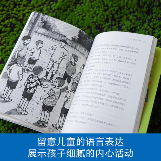 【9岁+】长青藤国际大奖小说·十岁的烦恼 商品图3