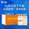 华畜 1.0g注射用头孢噻呋钠*10支 真空头孢冻干粉 疏松多孔 致敏性低 商品缩略图0