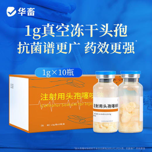 华畜 1.0g注射用头孢噻呋钠*10支 真空头孢冻干粉 疏松多孔 致敏性低 商品图0