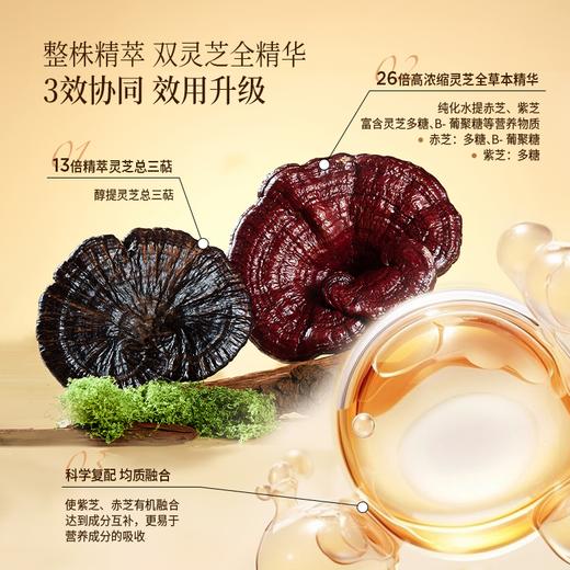 灵芝原浆｜双灵芝原浆30ml*21包/大袋 共63袋 帮助睡眠 闽芝源 武夷山脉道地灵芝 孢子粉升级款 含量双高 好吸收 商品图1