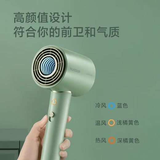 FLYCO飞科 吹风机 FH6310 商品图2