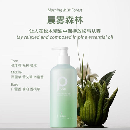 柏缇 晨雾香氛沐浴露 580ml 6930494500219 商品图2