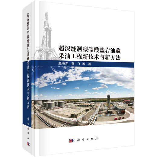 超深缝洞型碳酸盐岩油藏采油工程新技术与新方法 商品图0