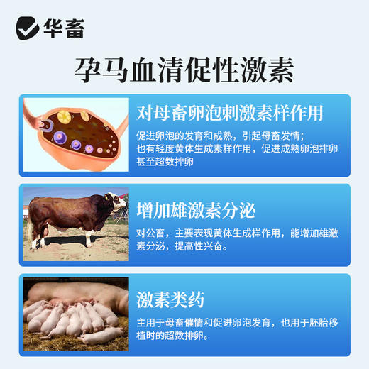 华畜孕马血清兽用注射用血促性素猪牛羊发情针剂母畜促排兽药 商品图2