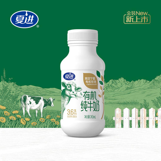 夏进瓶装有机纯牛奶（蛋白 3.6g）243ml×10瓶 商品图1