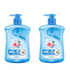 雕牌 海盐洗手液500ml清香家用便携健康护手 500ml*2瓶 商品缩略图0