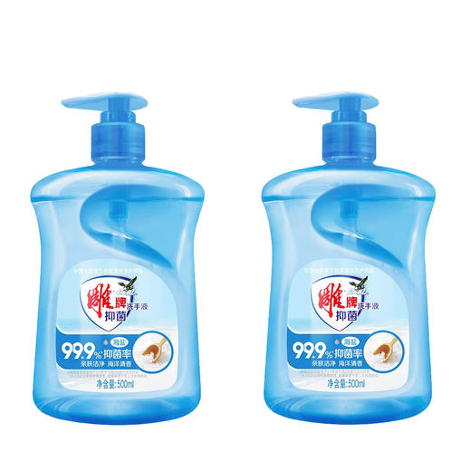 雕牌 海盐洗手液500ml清香家用便携健康护手 500ml*2瓶 商品图0