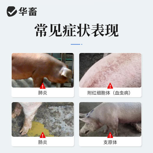 华畜10%盐酸多西环素注射液 支原体肺炎肠炎血虫病等 商品图1