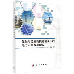 促进与适应新能源视角下的电力市场改革研究