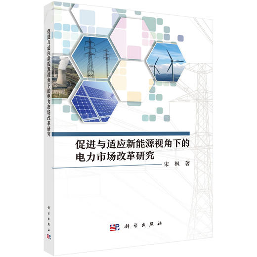 促进与适应新能源视角下的电力市场改革研究 商品图0