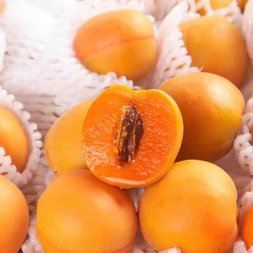 树上熟吊干杏 1500g/份 商品图1