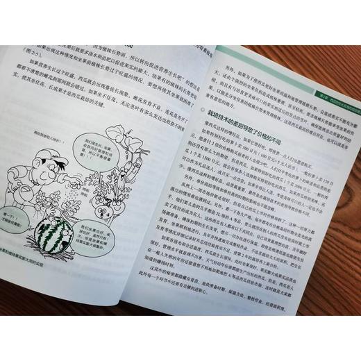 官网 西瓜栽培管理手册 中山 淳 町田刚史 西瓜栽培计划制订育苗定植采收病虫害防治 西瓜各个生长期的栽培管理要点书籍 商品图4