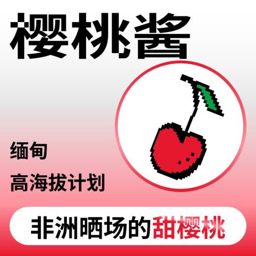 捌比特缅甸 高海拔 樱桃酱 中度烘焙日晒铁皮卡 手冲精品咖啡豆/250g 商品图0