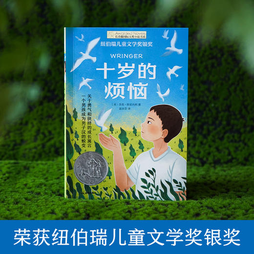 【9岁+】长青藤国际大奖小说·十岁的烦恼 商品图2
