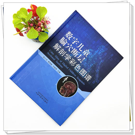 数字儿童腧穴断层解剖学彩色图谱 张少杰 奥晓静 司银楚 主编 中国中医药出版社 商品图1
