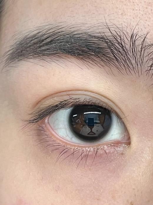 Bariecat日抛·夜光黑环·14.0mm中等着色·10片日抛 商品图5