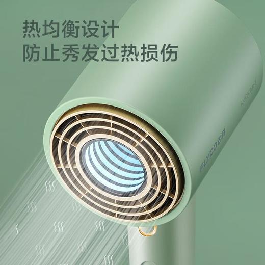 FLYCO飞科 吹风机 FH6310 商品图4