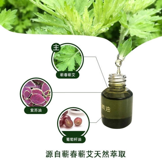 贡艾堂  蕲艾开穴精油  30ML 商品图1