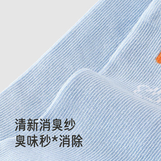 【商场同款】英氏儿童袜子男童四季袜新款女童袜子2双装短袜 商品图1