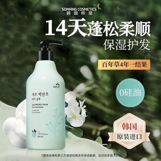 所望济州岛百年草洗发水男女士无硅油持久去油清爽蓬松洗发露 500ml/瓶 商品图0