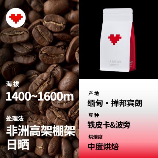 捌比特缅甸 高海拔 樱桃酱 中度烘焙日晒铁皮卡 手冲精品咖啡豆/250g 商品图3