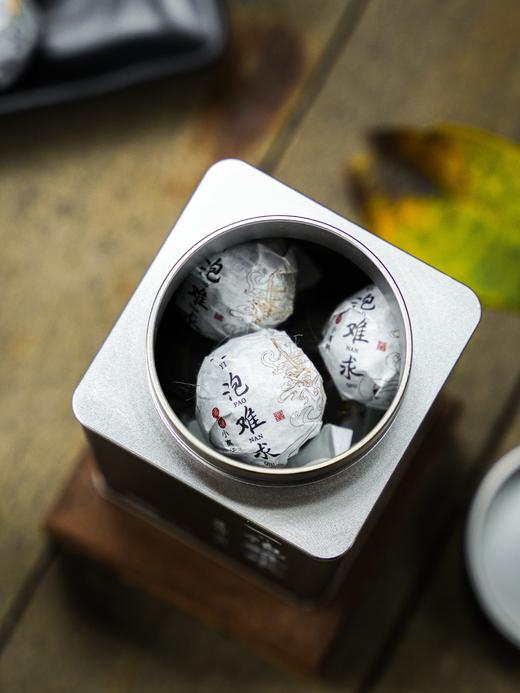 【一泡难求】数量稀少注定只有少数鼎级茶友能够品鉴到，薄荷塘小高杆媲美I类古树，2025年头春茶！70克/罐 商品图4