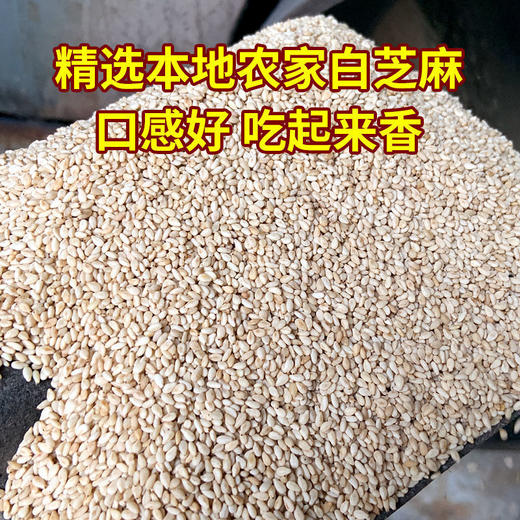 【河南特产❗️农家手工芝麻盐】传统工艺，口感好，吃起来香，做花卷 做熟菜 火锅蘸料 调凉菜 拌面！老式熟白芝麻粉咸味拌面烧烤蘸料现磨500g 商品图4