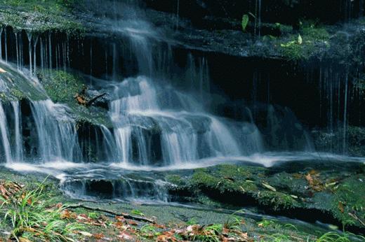 打卡萤火之森+耍水胜地🌊【邛崃天台山·林荫山庄】
🏞️森林溪流间，舒适住宿～
💦香草沟、白龙渡清凉耍水 商品图2