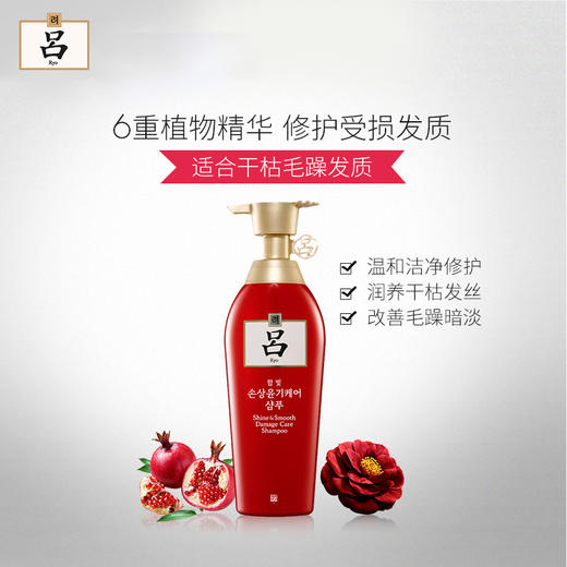 吕 含光耀护营润修护红吕洗发水400ml*4 赠红吕洗发水100ml 商品图4