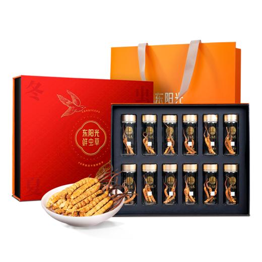 东阳光冬虫夏草 有机冻干虫草60根装 约19克 商品图0