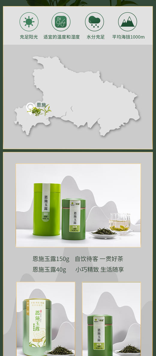 羽露 恩施玉露罐装（特级）绿茶硒茶  40G 商品图3