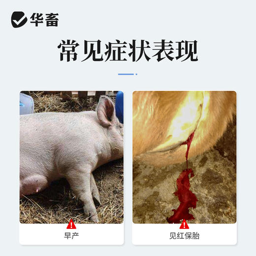 华畜 黄体酮注射液10支 性激素类药 用于预防流产 安胎保胎 抑制发情排卵 马牛羊猪用 商品图1