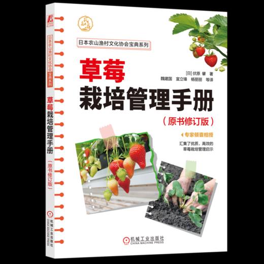 官网 草莓栽培管理手册 原书修订版 伏原肇 草莓育苗技术栽培管理 草莓种植教程书籍 商品图4