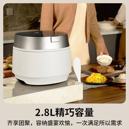 松下（Panasonic）电饭煲家用2-3人IH可变压 变频电饭锅备长炭不粘加厚内胆智能预约煮饭锅2.8升 SR-HX101-W_qb 商品图7