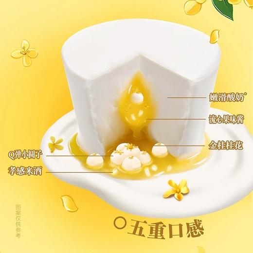 蒙牛友芝友 汉口老酸奶桂花酒酿小圆子 135g/杯 商品图1