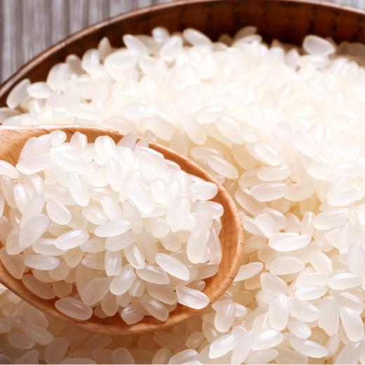 金龙鱼方正莲香米5KG 商品图3