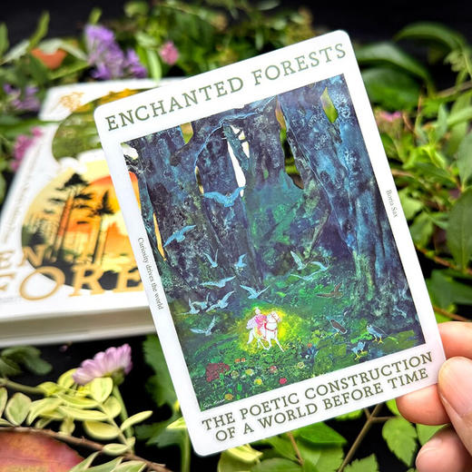 魔法森林：诗意地构建时间开始之前的世界（森林是自然的圣殿、神话的温床、人类集体潜意识的暗涌）（美）博里亚·萨克斯 著 商品图3