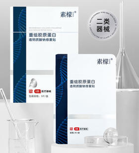 素檬(重组胶原蛋白透明质酸钠修复贴)黑膜